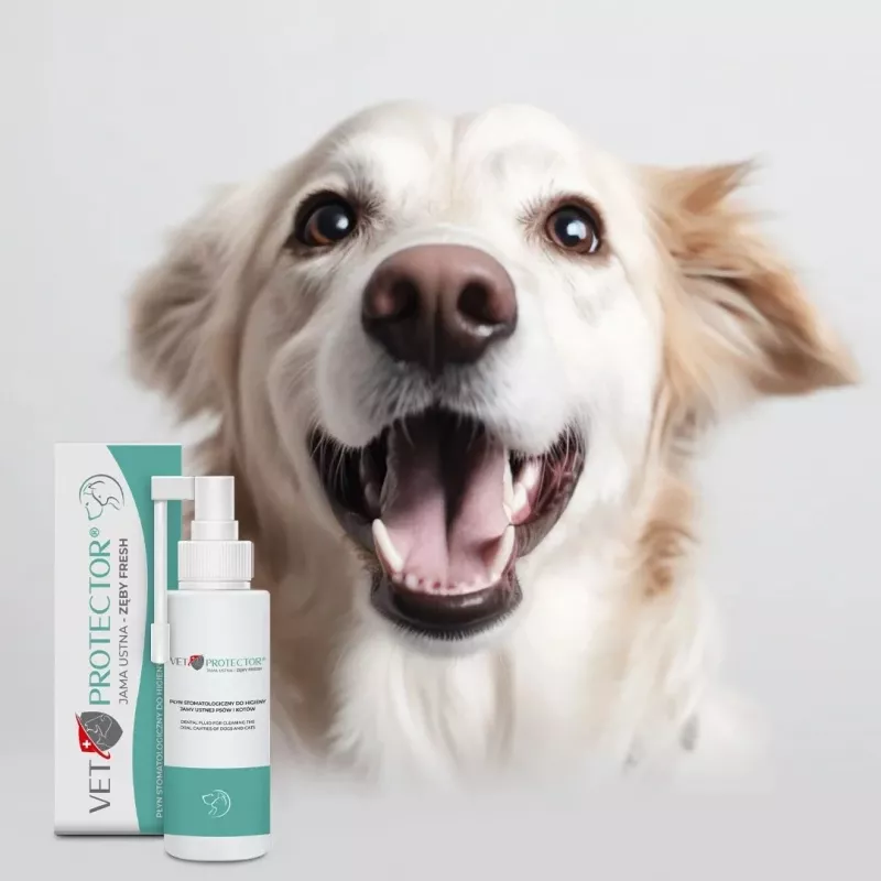 Mutes kopšanas šķīdums JM Sante Vet Protector Fresh 100 ml suņiem un kaķiem, zobakmens profilakse