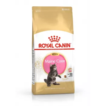 ROYAL CANIN Maine Coon Kitten sausā barība kaķiem - 4 kg