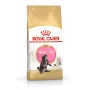 ROYAL CANIN Maine Coon Kitten sausā barība kaķiem - 4 kg