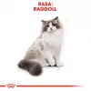 Royal Canin FBN Ragdoll Adult sausais kaķu ēdiens, 2 kg