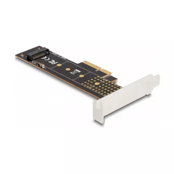 DeLOCK PCI Express x4 karte 1 x iekšējais NVMe M.2 Key M 110 mm Low Profile