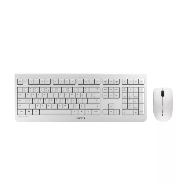CHERRY DW 3000 bezvadu tastatūra un pele RF QWERTZ pelēka