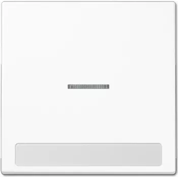 Jung LS 990 NAKO5 WW (LS990NAKO5WW) – slēdža rāmis