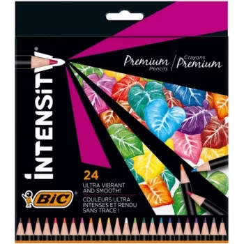 BIC Intensity krītiņi 24 krāsas 967823