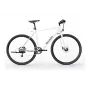 Sharp Gravel E-Bike 250W Motors 70km Balts spīdīgs
