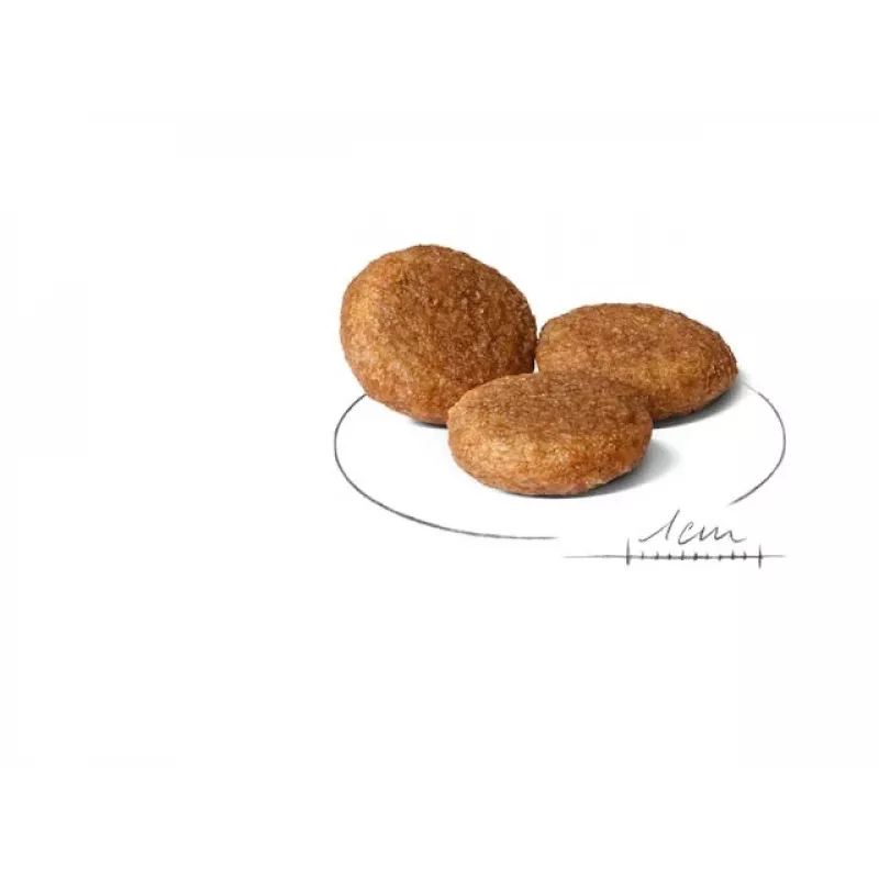 Royal Canin SHN Medium Adult sausā barība suņiem, 15 kg