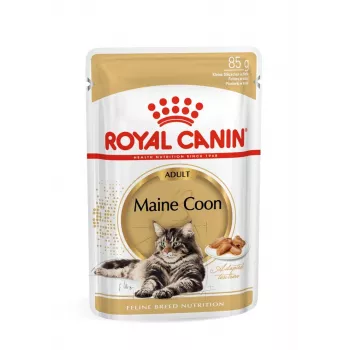 ROYAL CANIN FBN Maine Coon - slapjā barība kaķiem - maisiņš 12x 85g