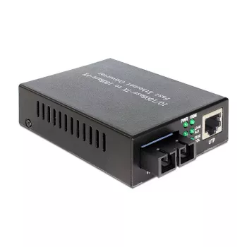 Tīkla mediju pārveidotājs DeLOCK 86216