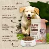 Sausā suņu barība kucēniem VETEXPERT Raw Paleo Healthy Grain Salmon and Barley 10 kg, proteīns 29%, tauki 17%, mitrums 9%