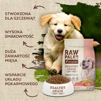 Sausā suņu barība kucēniem VETEXPERT Raw Paleo Healthy Grain Salmon and Barley 10 kg, proteīns 29%, tauki 17%, mitrums 9%