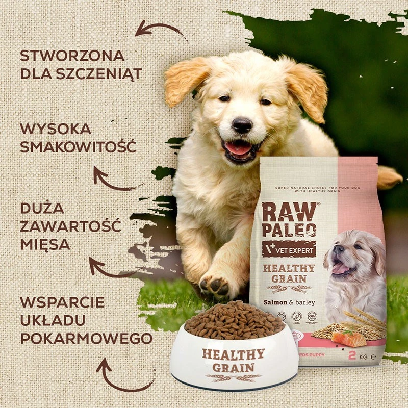 Sausā suņu barība kucēniem VETEXPERT Raw Paleo Healthy Grain Salmon and Barley 10 kg, proteīns 29%, tauki 17%, mitrums 9%