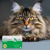Soft gel twist-off kapsulas JM Sante Multiway Vet kažoks un āda suņiem un kaķiem 60 gab., 150 g