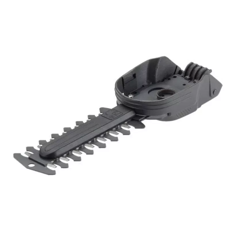 Strauchmesser 12,5cm, rezerves asmens melns