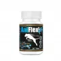 GAME DOG AniFlexi FIT V2 locītavu papildbarība suņiem 30 tabletes