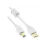 Microconnect USBAB2WF USB kabelis USB 2.0 2 m USB A USB B Balts