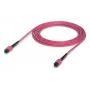 Šķiedru optikas kabelis MPO Ubiquiti UACC-OFC-MA-MPMP-5M 5m OM4