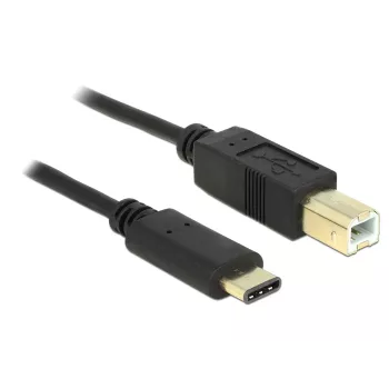 USB kabelis DeLOCK 2m USB 2.0-C / USB 2.0-B