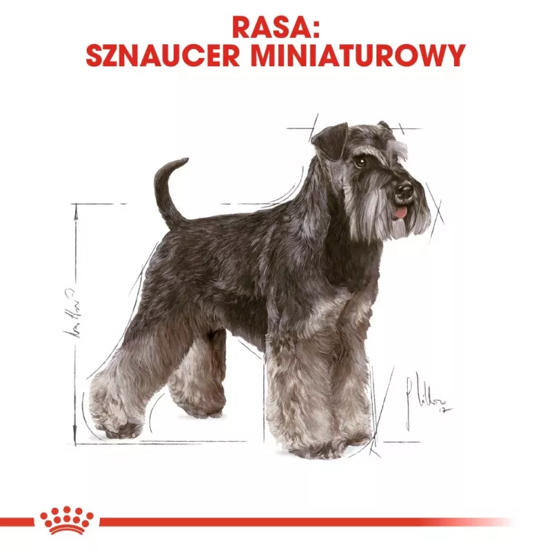 Sausā suņu barība Royal Canin Miniature Schnauzer Adult, ar putnu gaļu, 3 kg, mazām šķirnēm