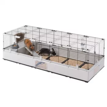 FERPLAST Modular 4 – būris trušiem un jūrascūciņām – 179 x 72 x 56 cm