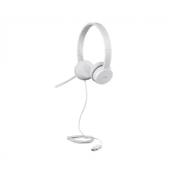 Lenovo GXD1E71385 austiņas/headsets Vadu USB Type-A Pelēks