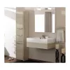 Vannas istabas skapis Topeshop S43 SONOMA Ozols