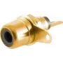 Cinch (RCA) ligzda ShiverPeaks 52091-S apzeltīta melna — audio savienotājs
