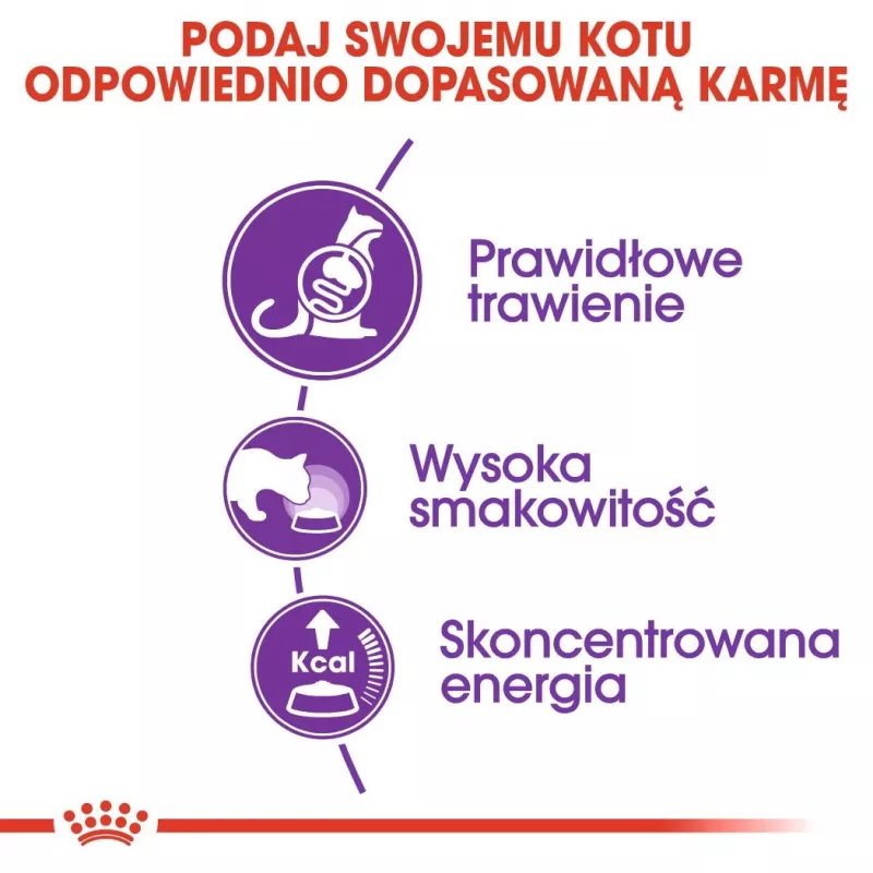 Royal Canin FHN Sensible sausais ēdiens pieaugušiem kaķiem, 4 kg