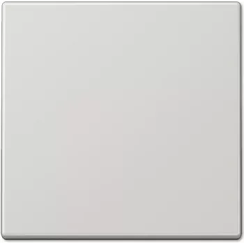 Jung LS 990 LG (LS990LG) – kontaktligzda ar aizsargkontaktu