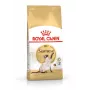 Royal Canin Siamese Adult sausā barība kaķiem, 2 kg