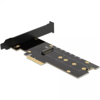 DeLOCK 89013 Iekšējā M.2 PCIe interfeisa karte, Low-profile