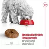 ROYAL CANIN Mini Ageing Adult +12 sausā barība suņiem - 3,5 kg