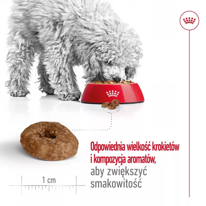 ROYAL CANIN Mini Ageing Adult +12 sausā barība suņiem - 3,5 kg