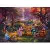 Thomas Kinkade Studios: Disney - Robin Hood, Puzle 1000 gabali
