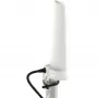 Omnivirziena 4 dBi 5G/LTE antena Poynting A-OMNI-0280-02-V1 SMA (vīrišķais) 2 m kabelis, mastam/sienai, balta