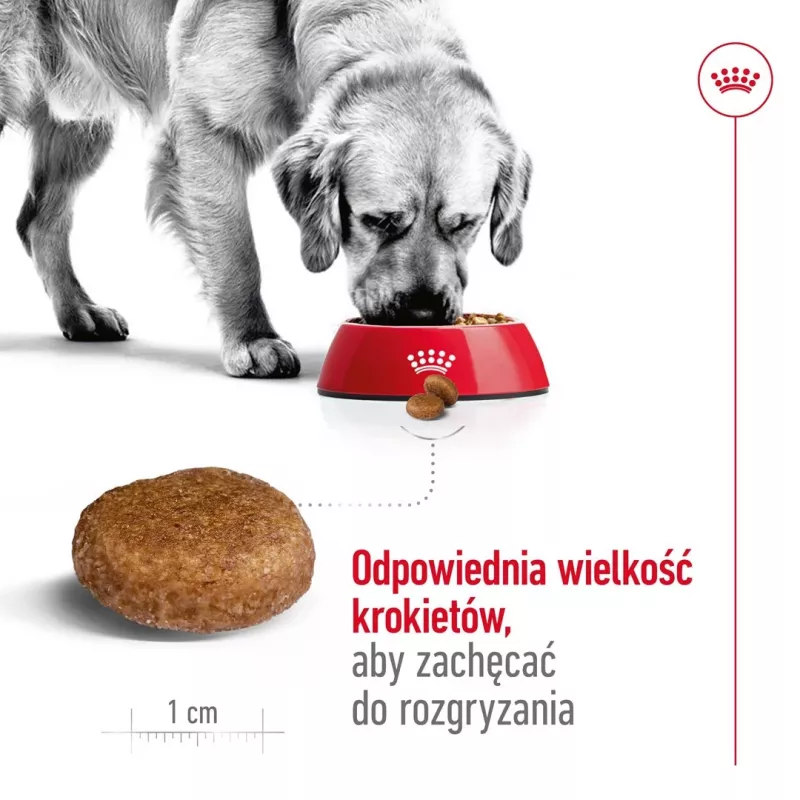 Royal Canin Maxi Adult 5+ sausais suņu ēdiens, 15 kg