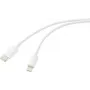 Renkforce USB kabelis USB 2.0 USB-C® spraudnis, Apple Lightning spraudnis 2.00 m Balts (matēts) RF-5724080