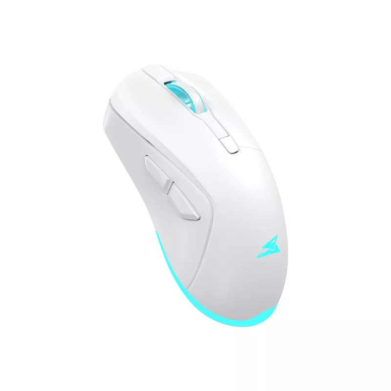 Pele Baracuda BGM-122 Turtle Balta TURTLE-W