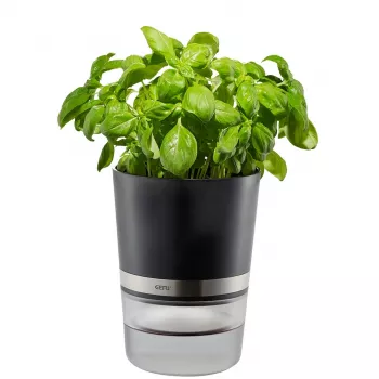 GEFU BOTANICO garšaugu pods, brīvi stāvošs, plastmasa, nerūsējošs tērauds, melns