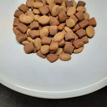 PUPIL Prime Mini Rich in poultry with beef - sausā suņu barība - 10kg