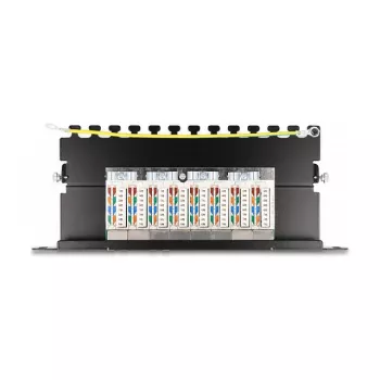DeLOCK Patch Panel 10 collas 8 portu Cat.6A 0,5U melns