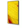 NEC MultiSync M651-2 65 collu LED kioska displejs 4K Ultra HD 500 cd/m²