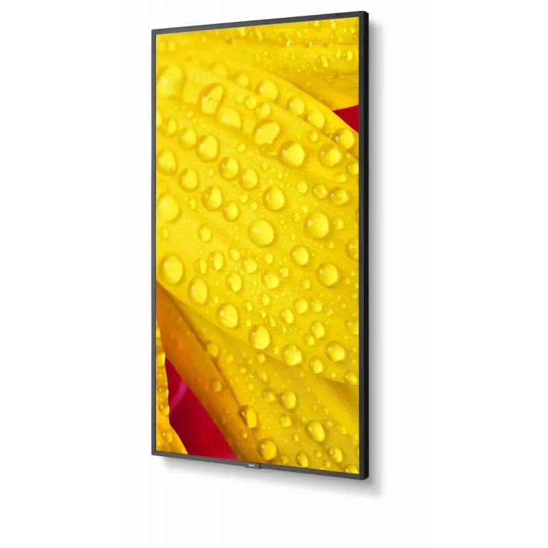 NEC MultiSync M651-2 65 collu LED kioska displejs 4K Ultra HD 500 cd/m²