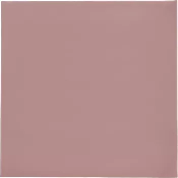 Thermal Grizzly Minus Pad 8 - 100 x 100 x 1.0 mm, 2 gab.