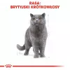 Royal Canin British Shorthair Adult sausā barība kaķiem 4 kg