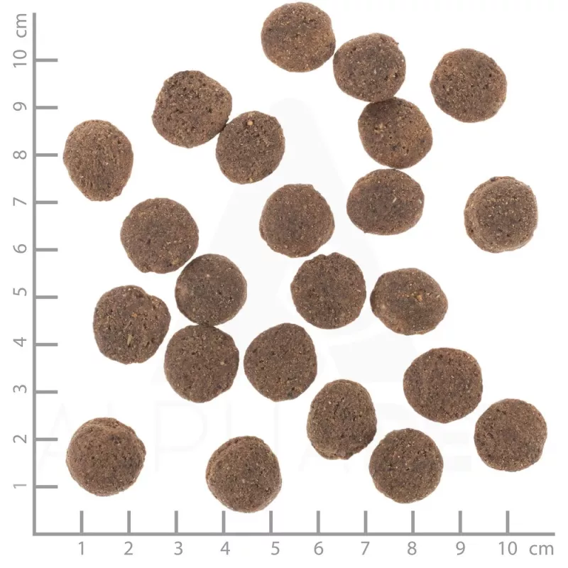 Sausā suņu barība Wolfsblut VetLine Hypoallergenic Horse — 12 kg, monoproteīns, 20% olbaltumvielu, bez graudiem un lipekļa
