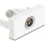 IEC / F kontaktligzda DeLOCK 90828 Balta 75 Ω Taisna