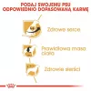 Sausā suņu barība Royal Canin Cavalier King Charles Adult 1.5 kg — Vistas gaļa, mazo šķirņu, ādai un kažokam, sirds atbalstam