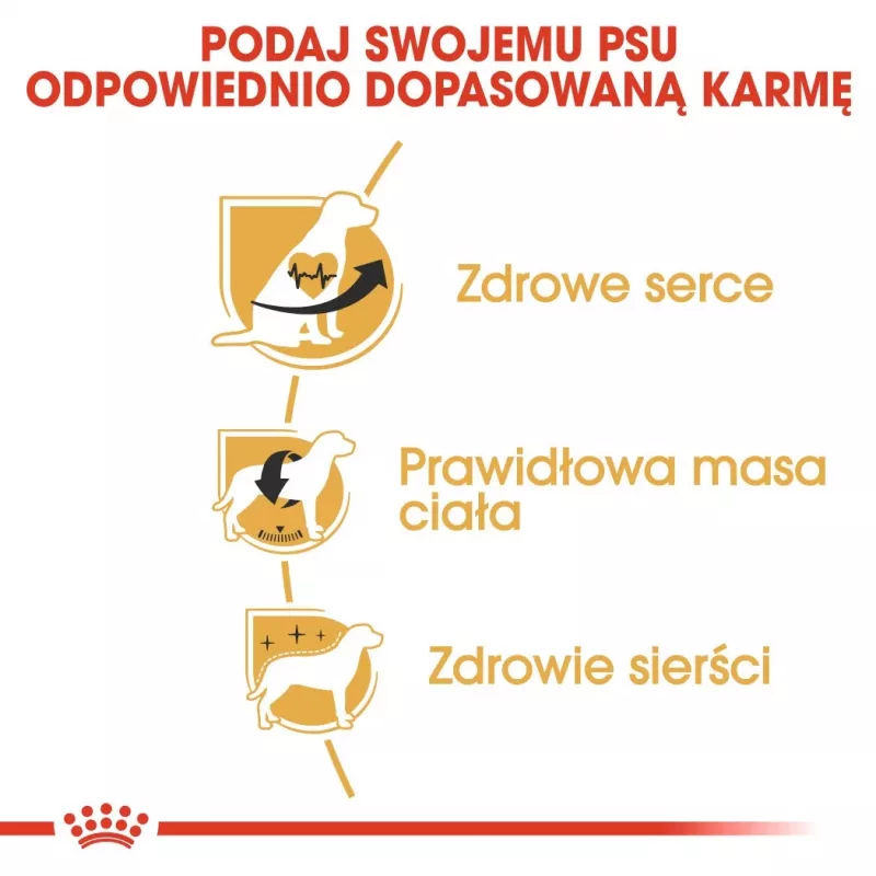 Sausā suņu barība Royal Canin Cavalier King Charles Adult 1.5 kg — Vistas gaļa, mazo šķirņu, ādai un kažokam, sirds atbalstam
