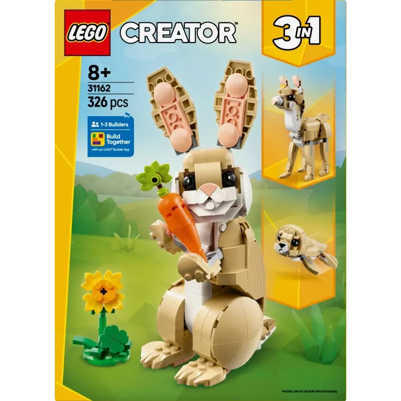 LEGO CREATOR 3 IN 1 31162 Jauks trusis