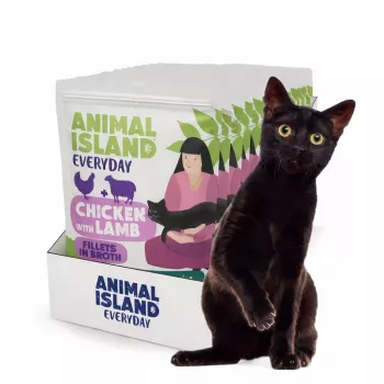 Animal Island kaķu barība